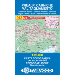 Prealpi Carniche TA 013